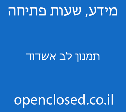 תמנון לב אשדוד