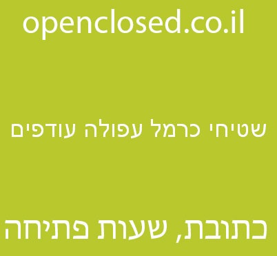 שטיחי כרמל עפולה עודפים