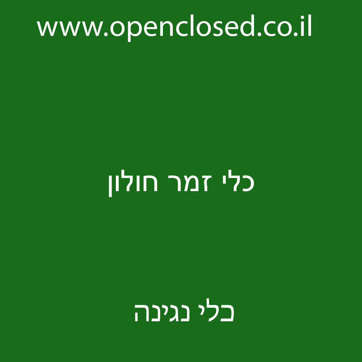 כלי זמר חולון