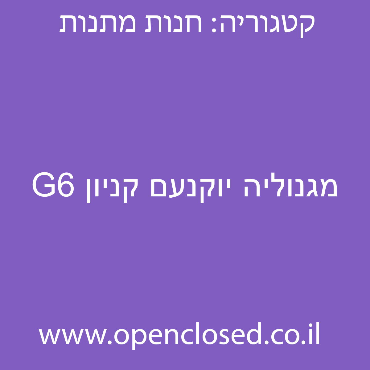 מגנוליה יוקנעם קניון G6