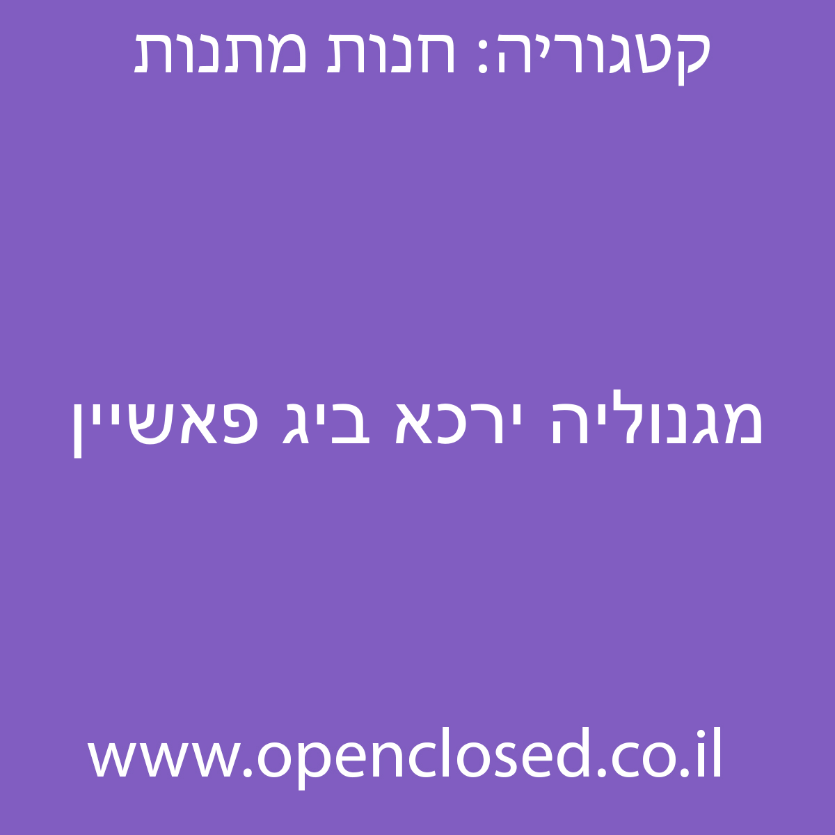 מגנוליה ירכא ביג פאשיין