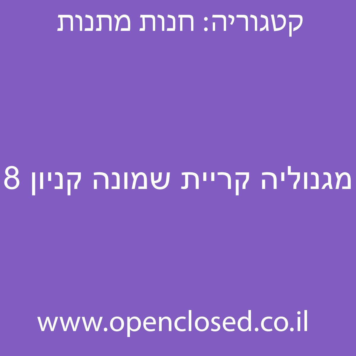 מגנוליה קריית שמונה קניון 8