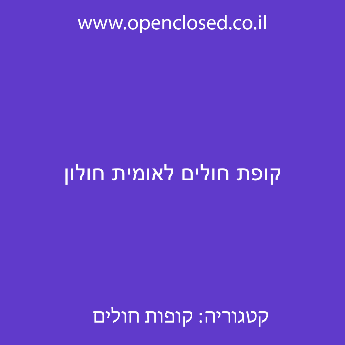 קופת חולים לאומית חולון