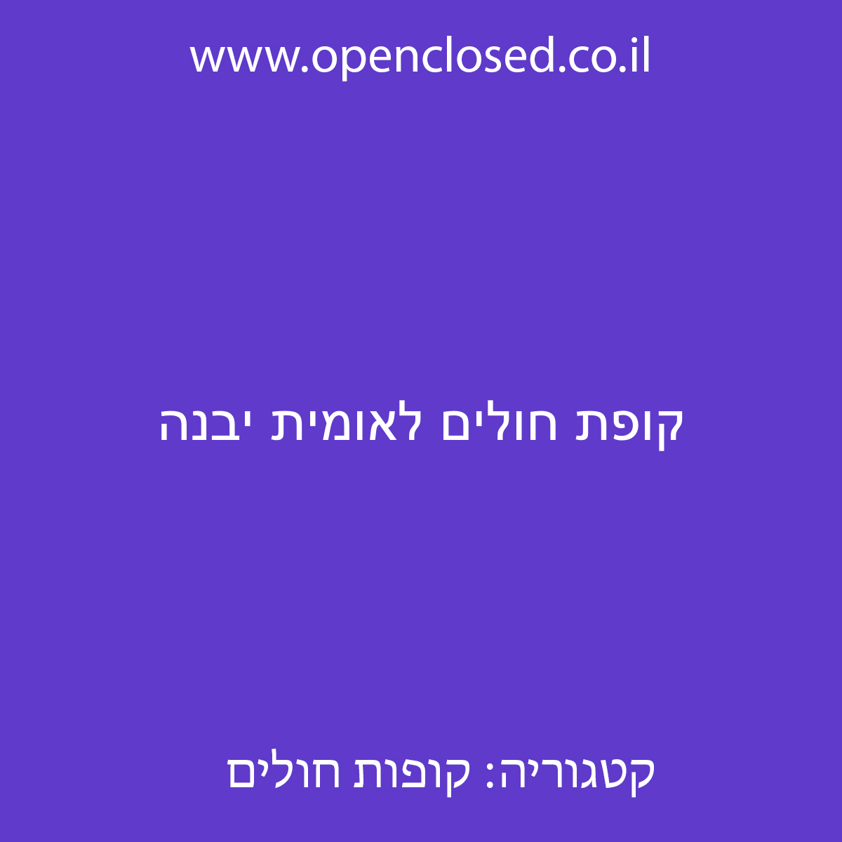 קופת חולים לאומית יבנה