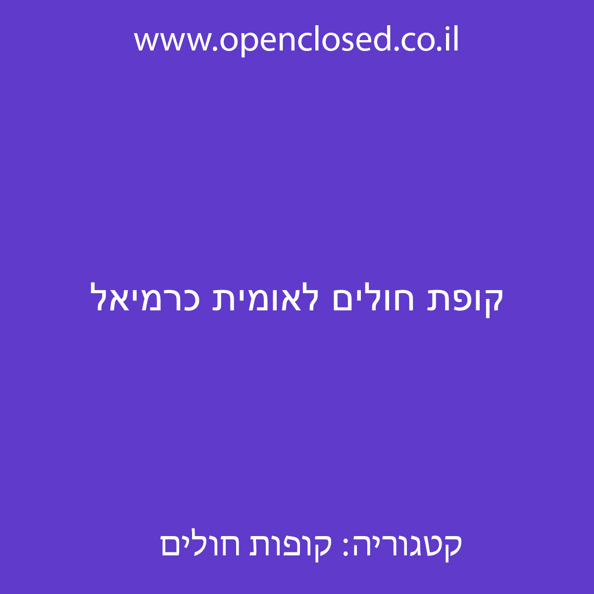 קופת חולים לאומית כרמיאל