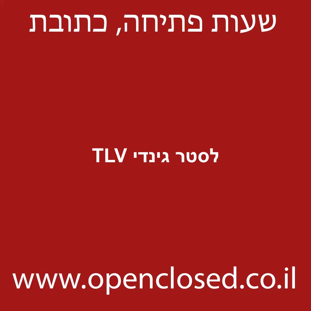 לסטר גינדי TLV