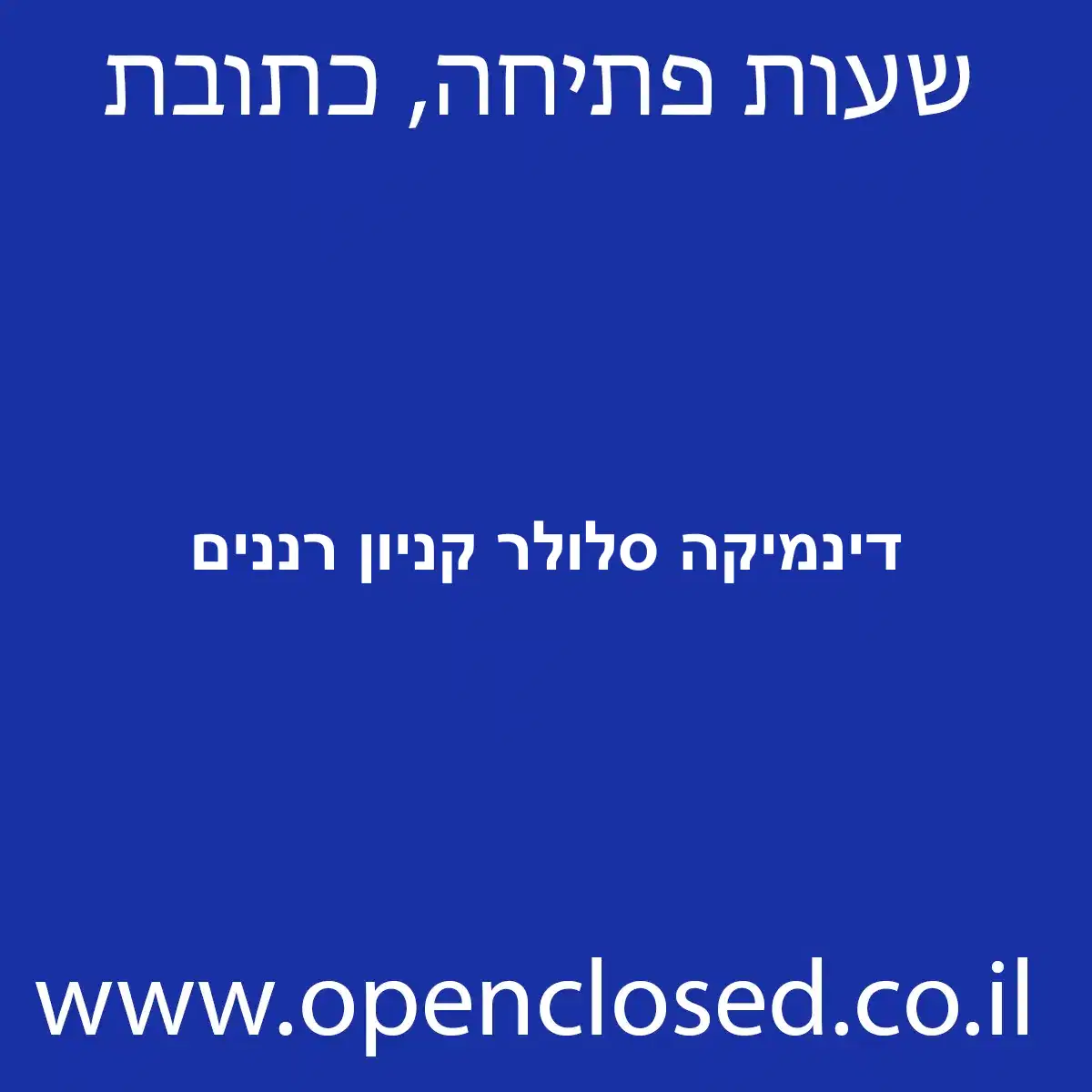 דינמיקה סלולר קניון רננים