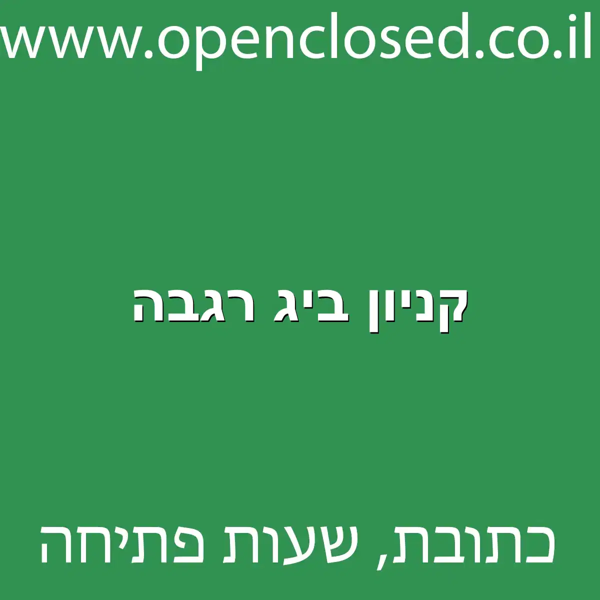 קניון ביג רגבה