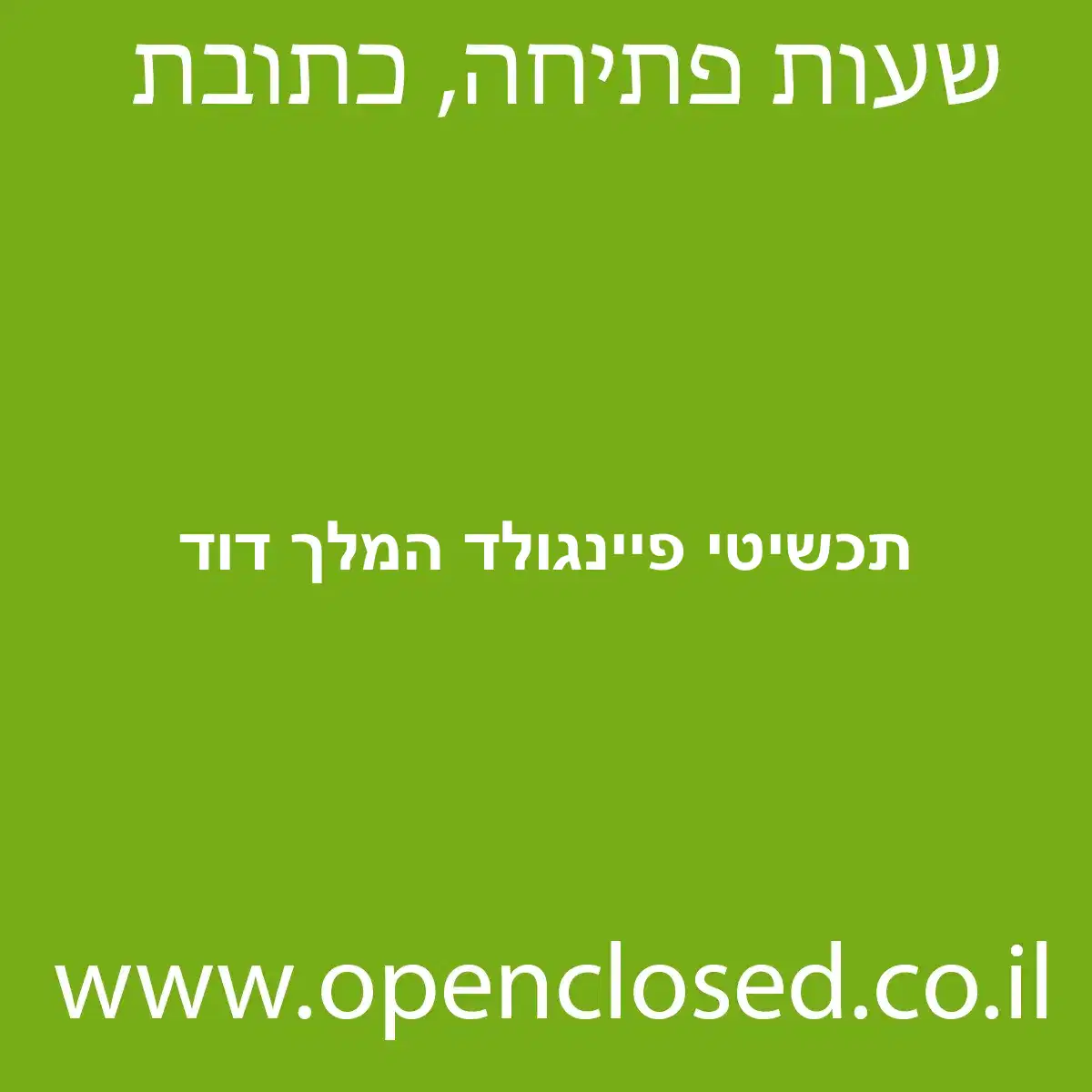 תכשיטי פיינגולד המלך דוד