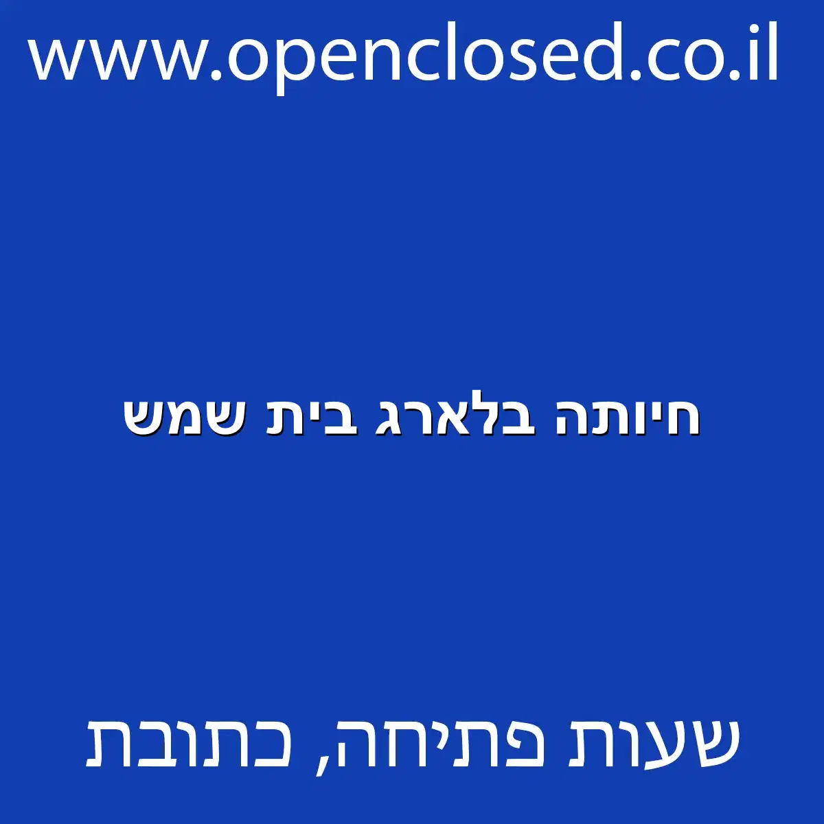 חיותה בלארג בית שמש