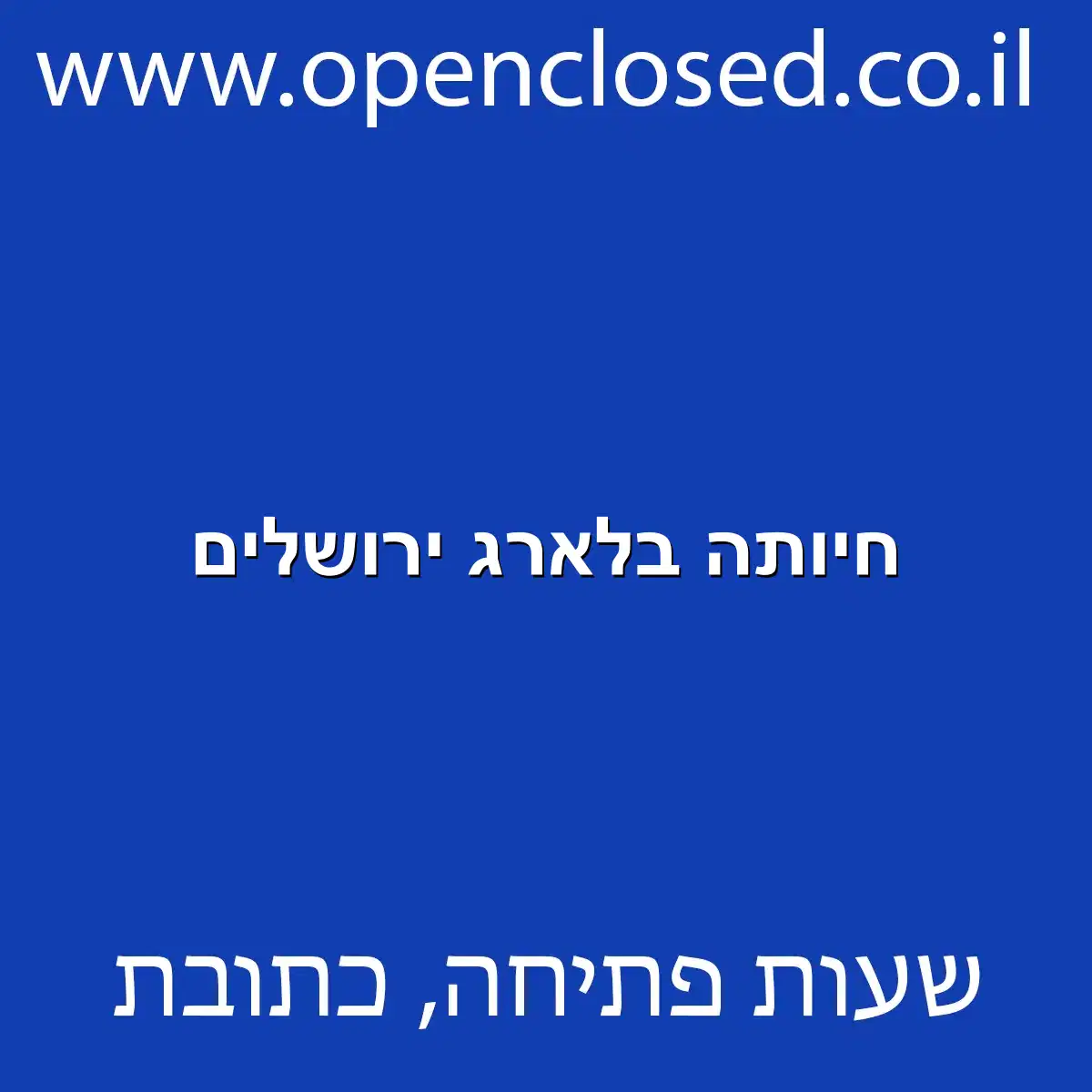 חיותה בלארג ירושלים