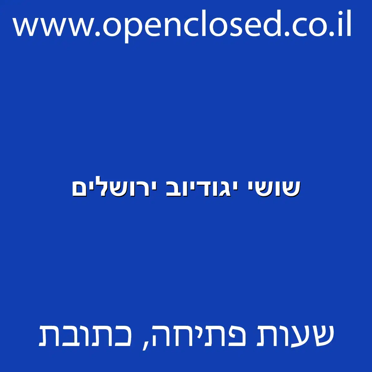 שושי יגודיוב ירושלים