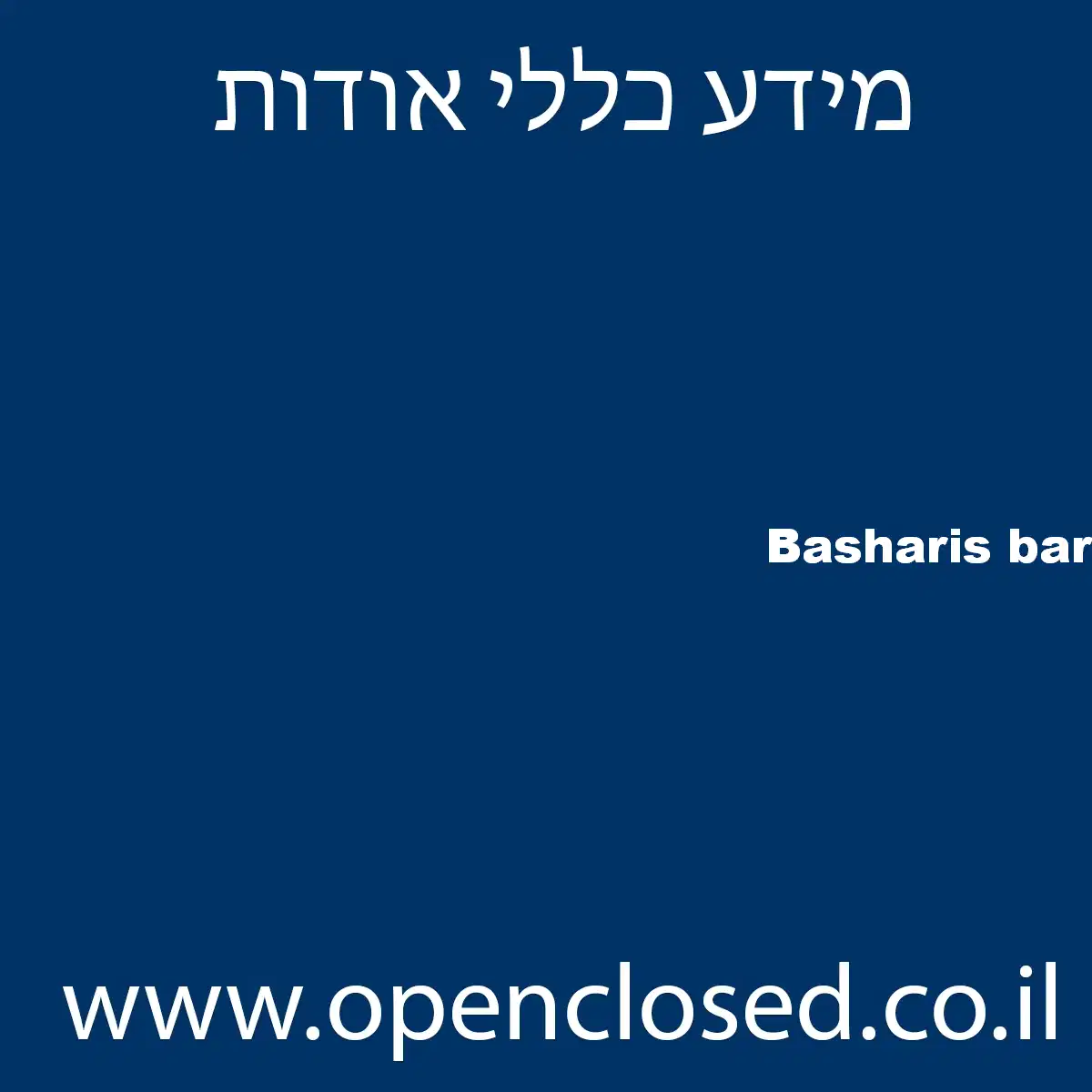 Basharis bar