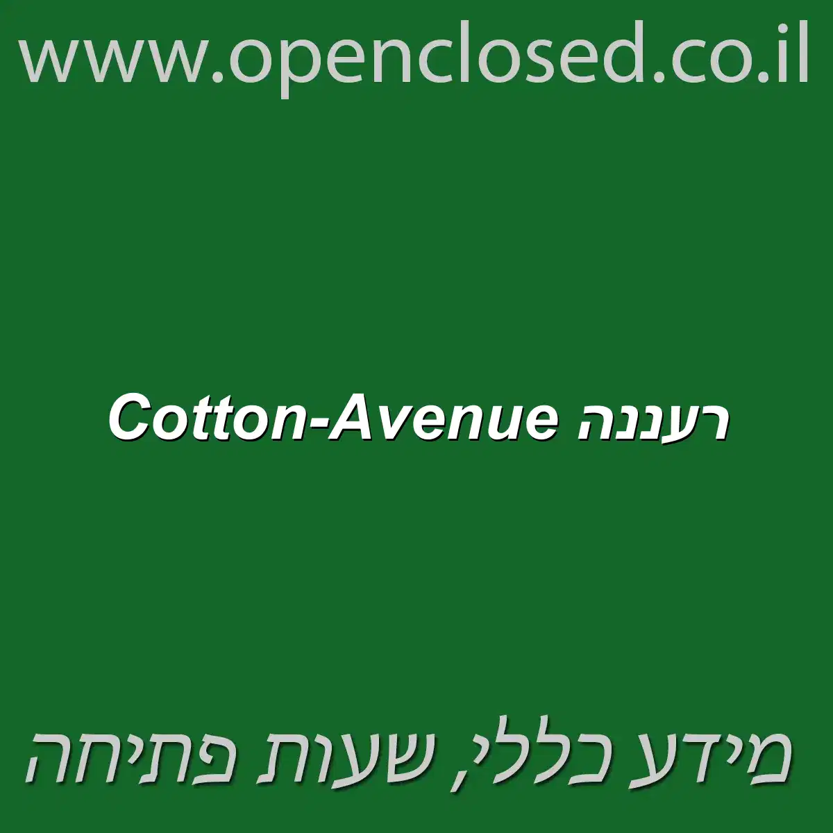Cotton-Avenue רעננה