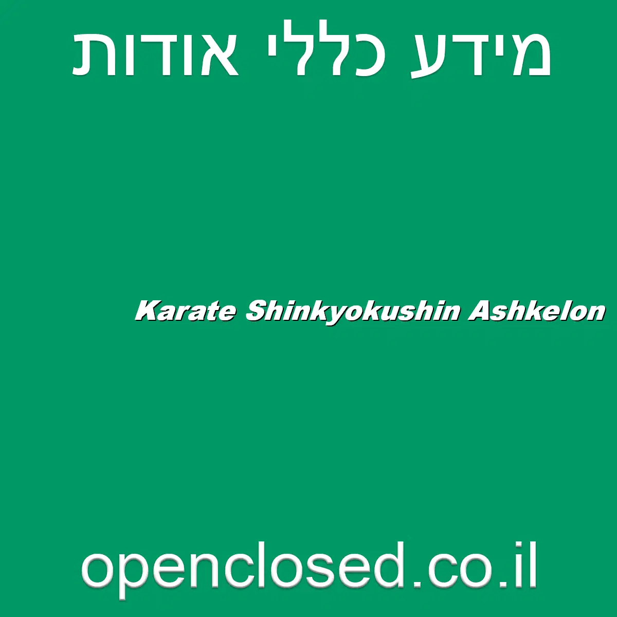 Karate Shinkyokushin Ashkelon