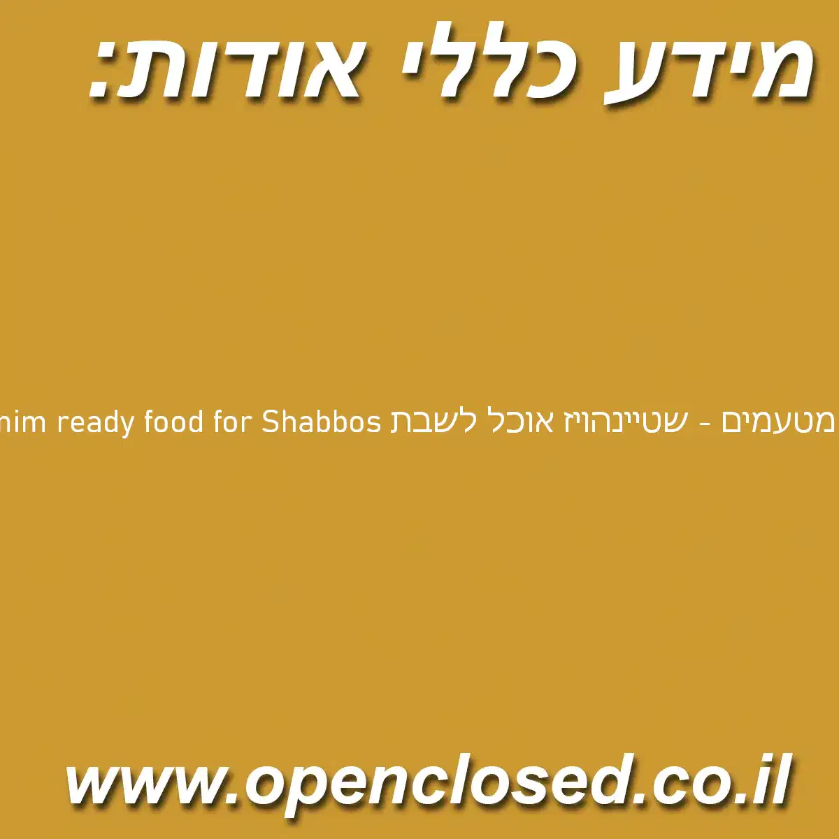 Matamim ready food for Shabbos מטעמים – שטיינהויז אוכל לשבת