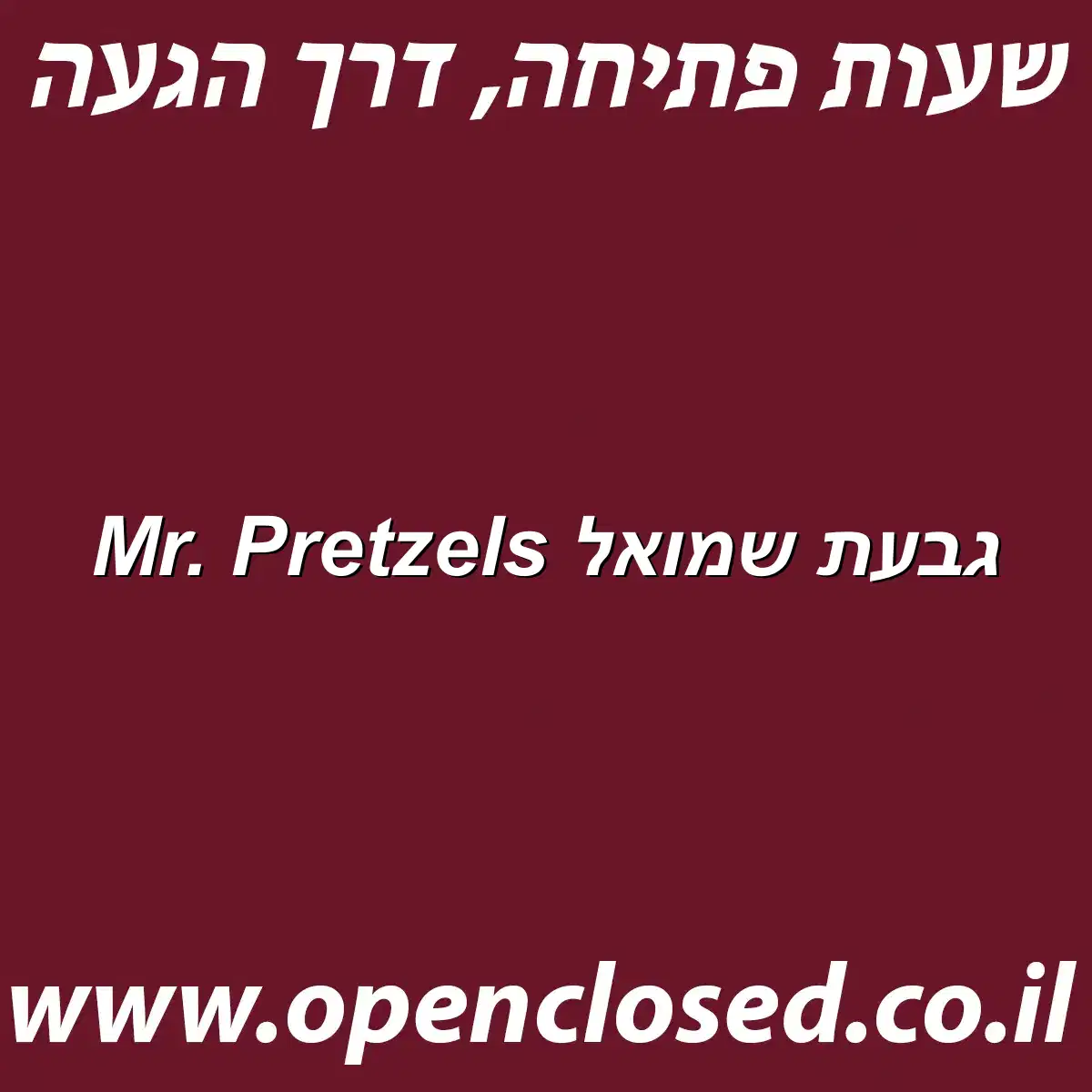 Mr. Pretzels גבעת שמואל