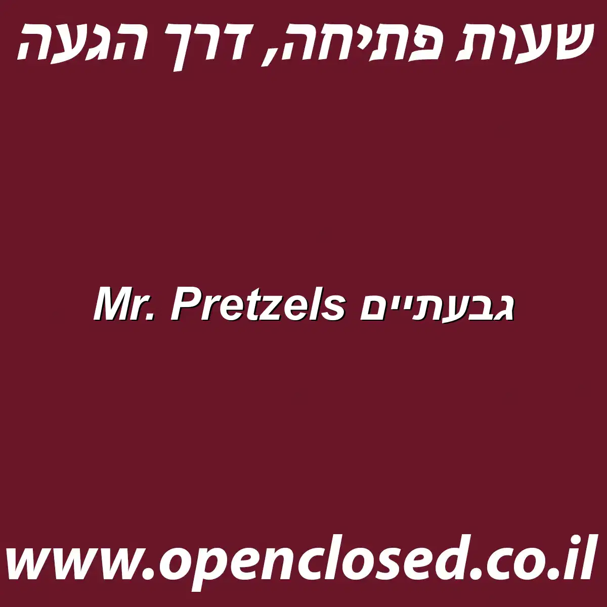 Mr. Pretzels גבעתיים