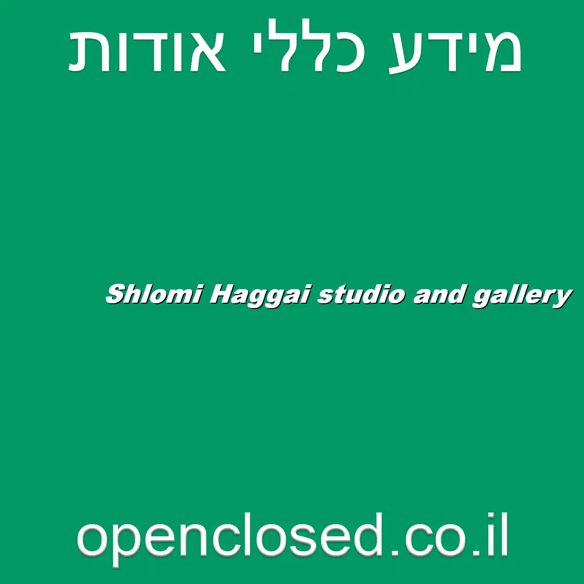 Shlomi Haggai studio and gallery