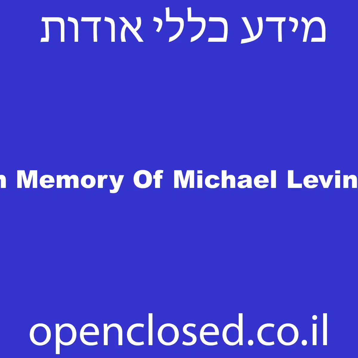 The Lone Soldier Center In Memory Of Michael Levin