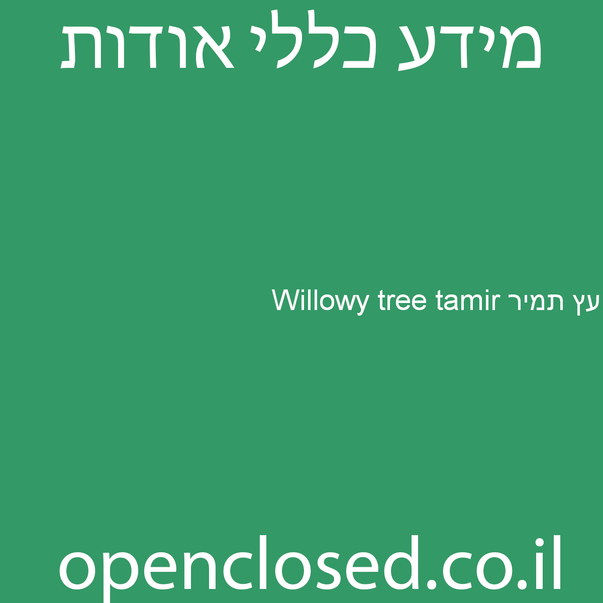 Willowy tree tamir עץ תמיר