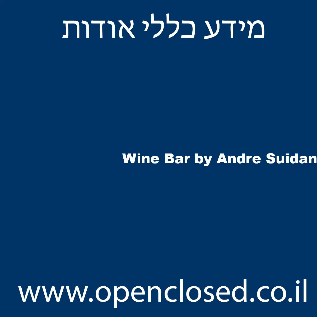 Wine Bar by Andre Suidan