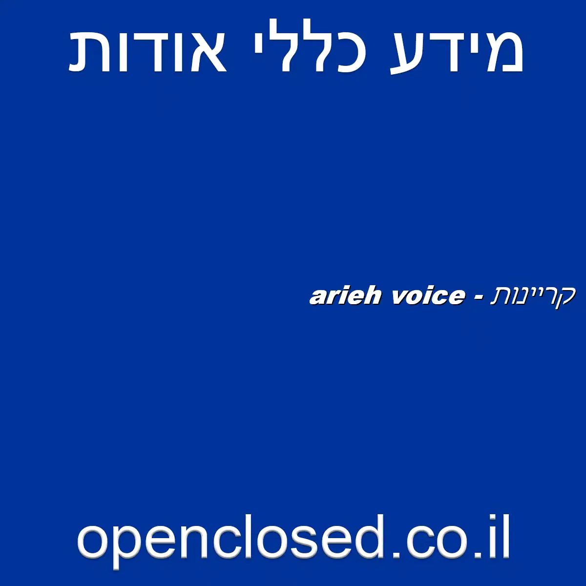arieh voice – קריינות