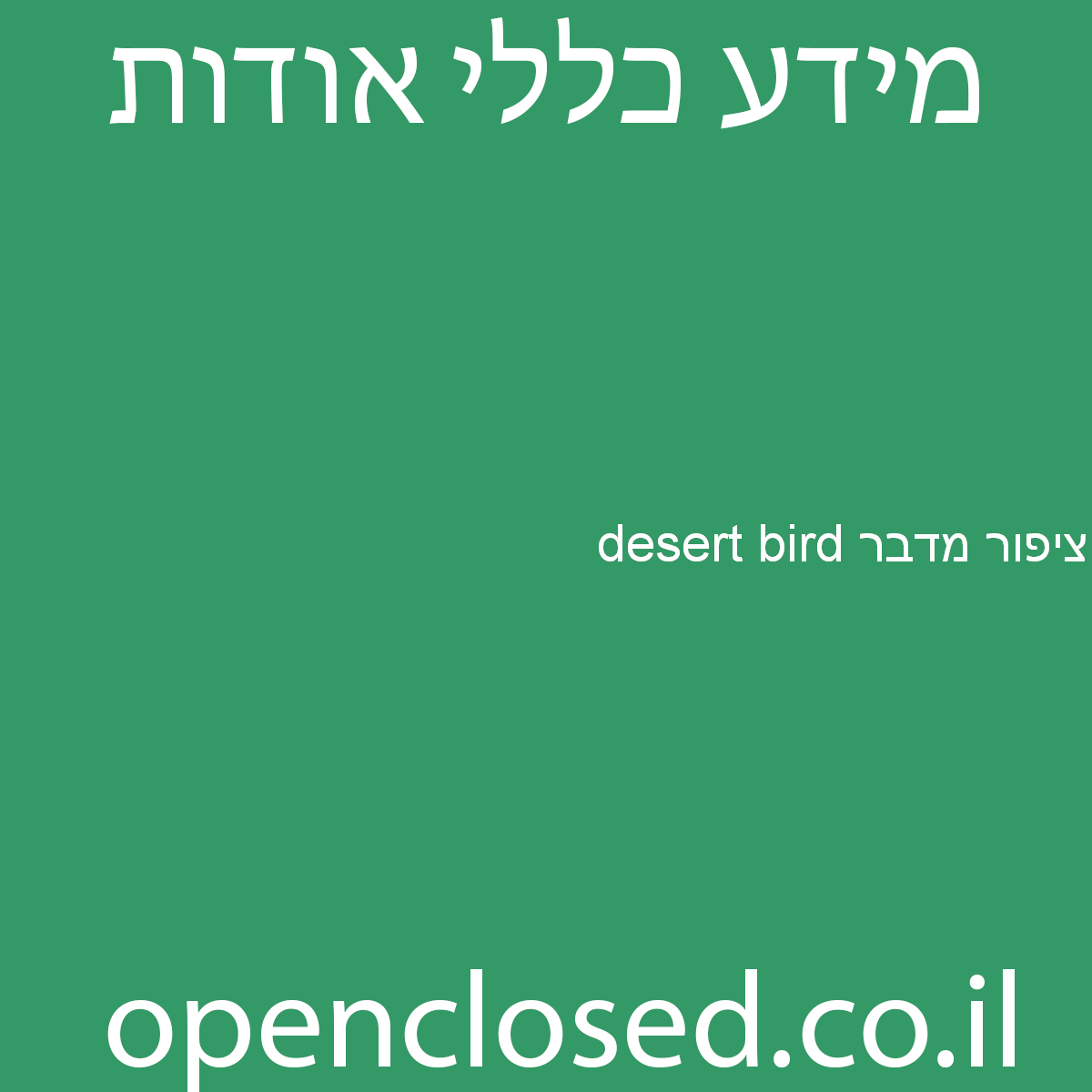 desert bird ציפור מדבר