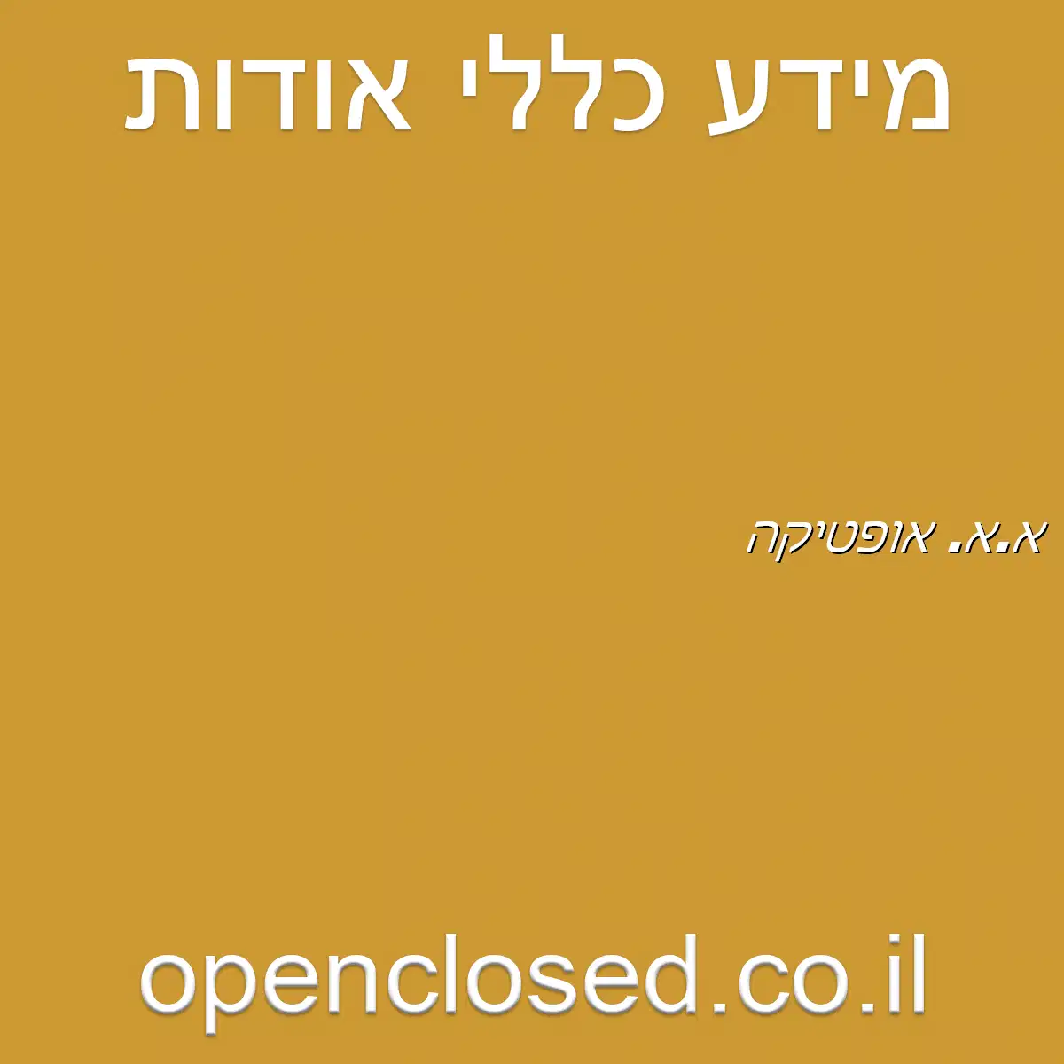 א.א. אופטיקה