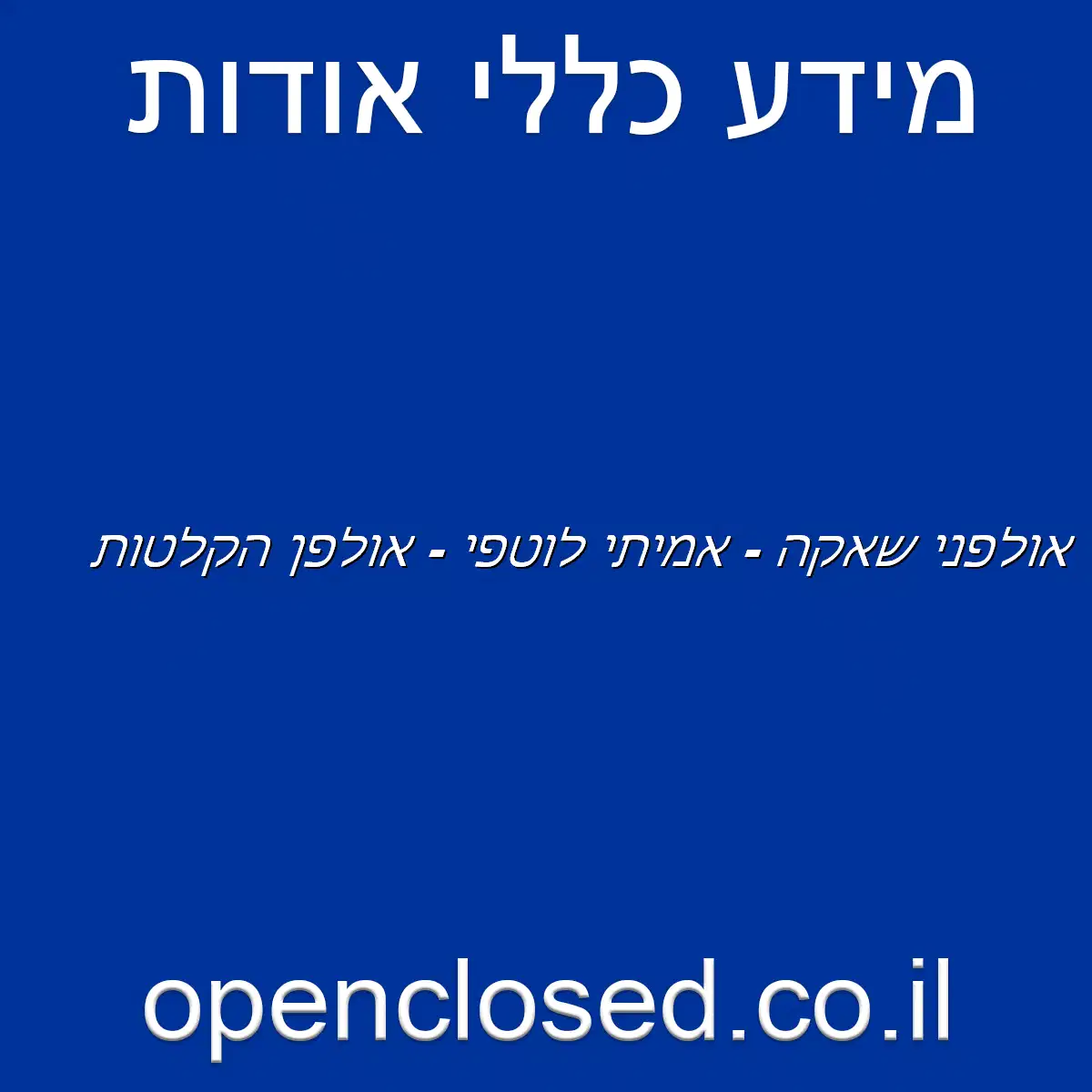 אולפני שאקה – אמיתי לוטפי – אולפן הקלטות