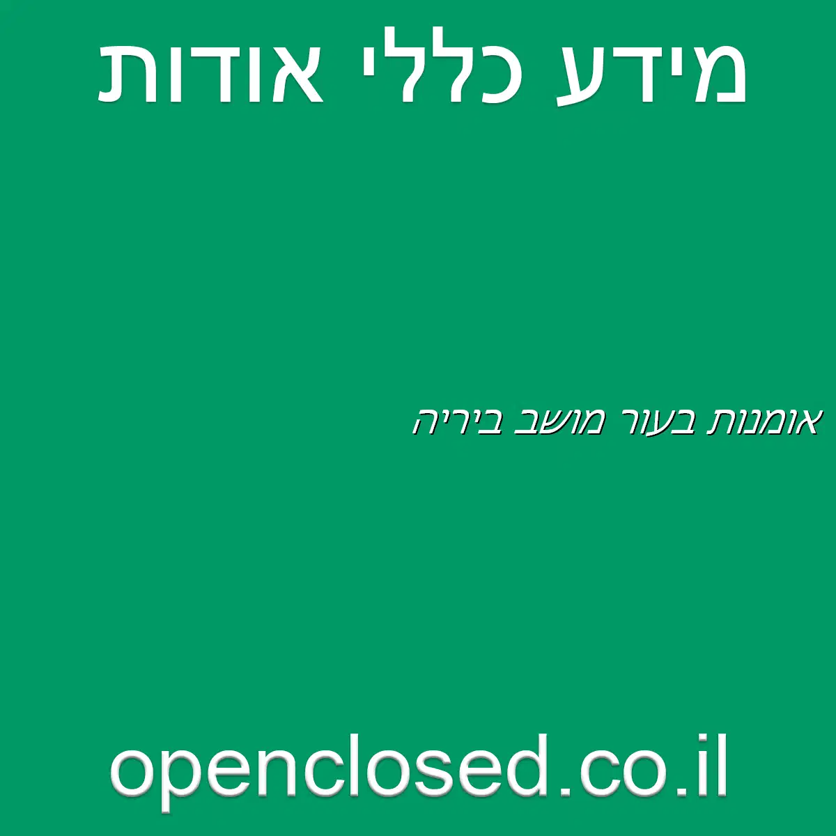 אומנות בעור מושב ביריה