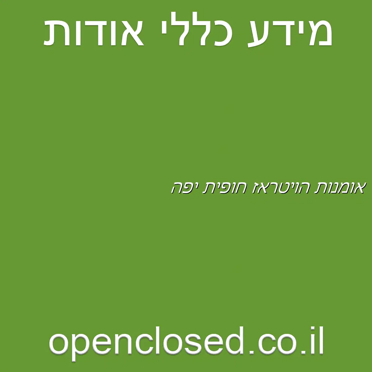 אומנות הויטראז חופית יפה