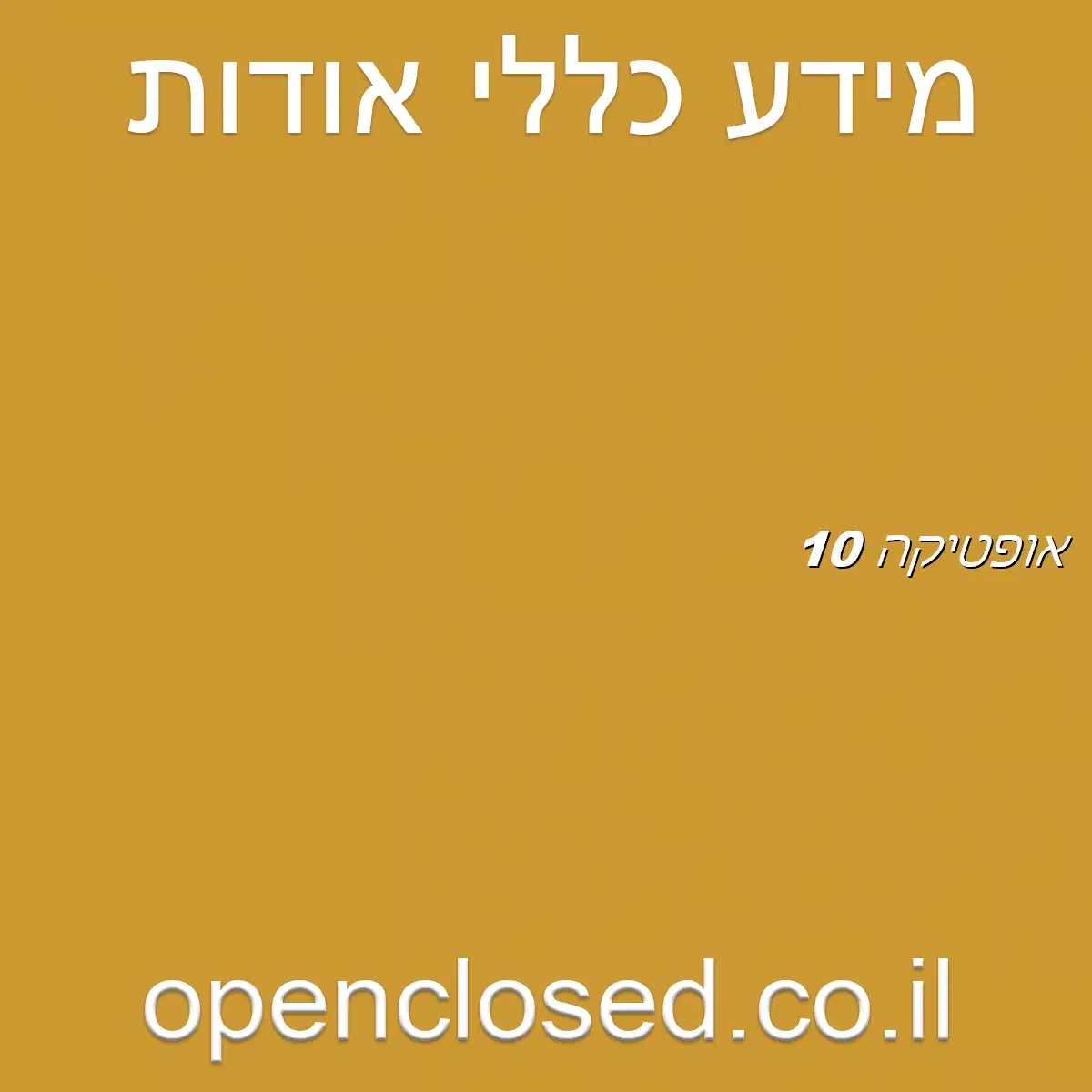 אופטיקה 10