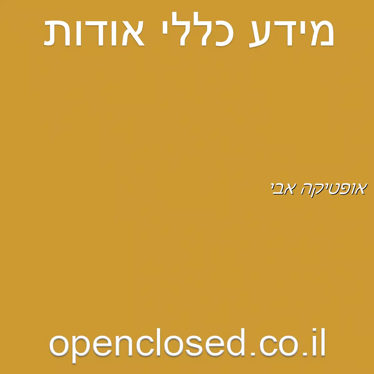 אופטיקה אבי