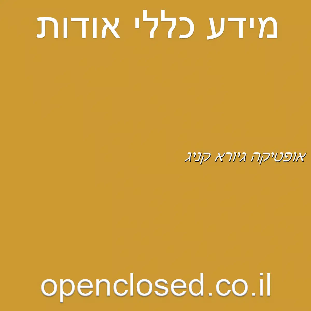 אופטיקה גיורא קניג