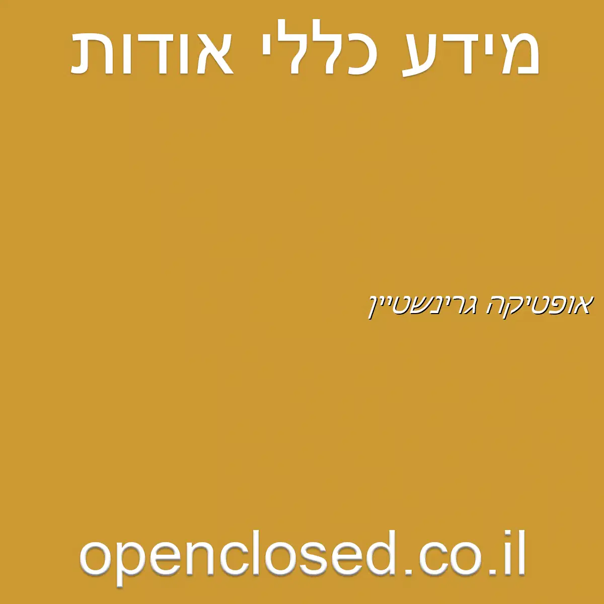 אופטיקה גרינשטיין