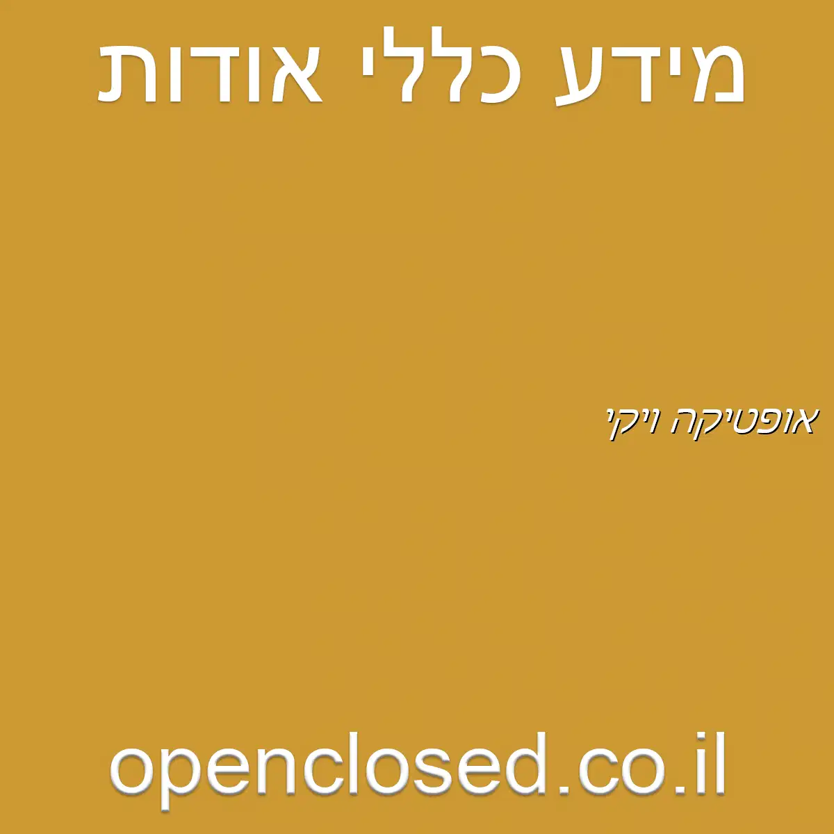 אופטיקה ויקי