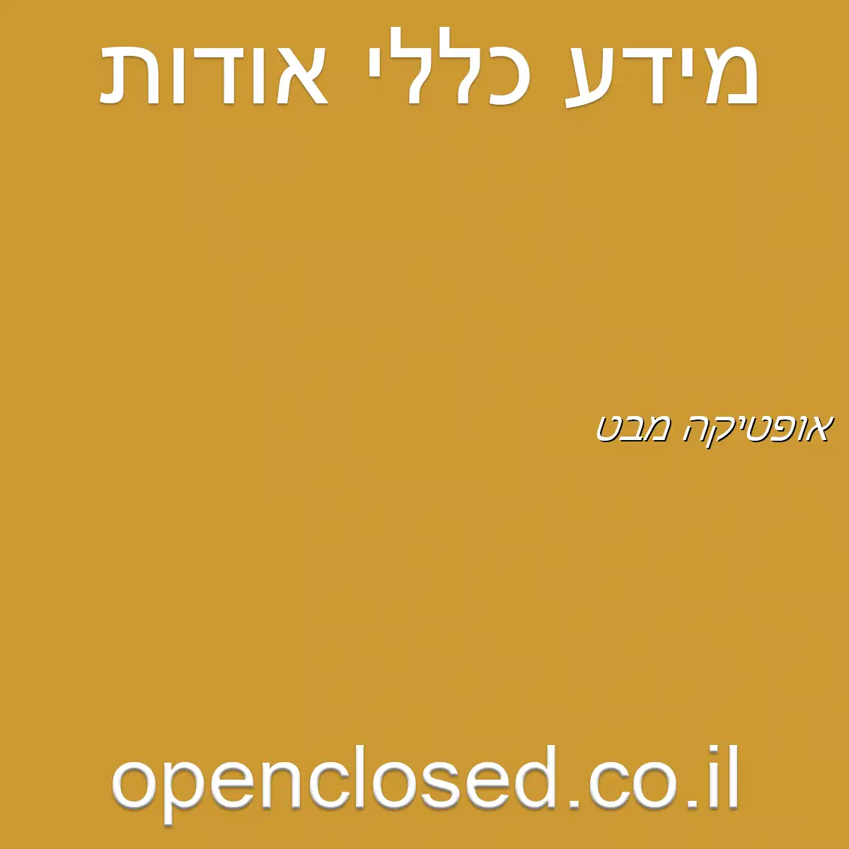 אופטיקה מבט