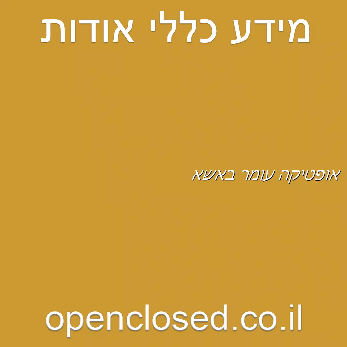 אופטיקה עומר באשא