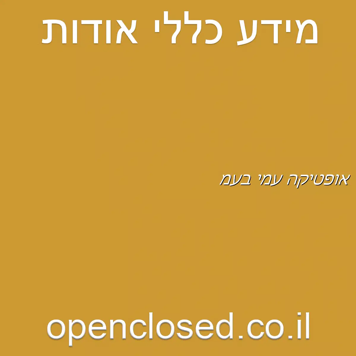 אופטיקה עמי בע”מ