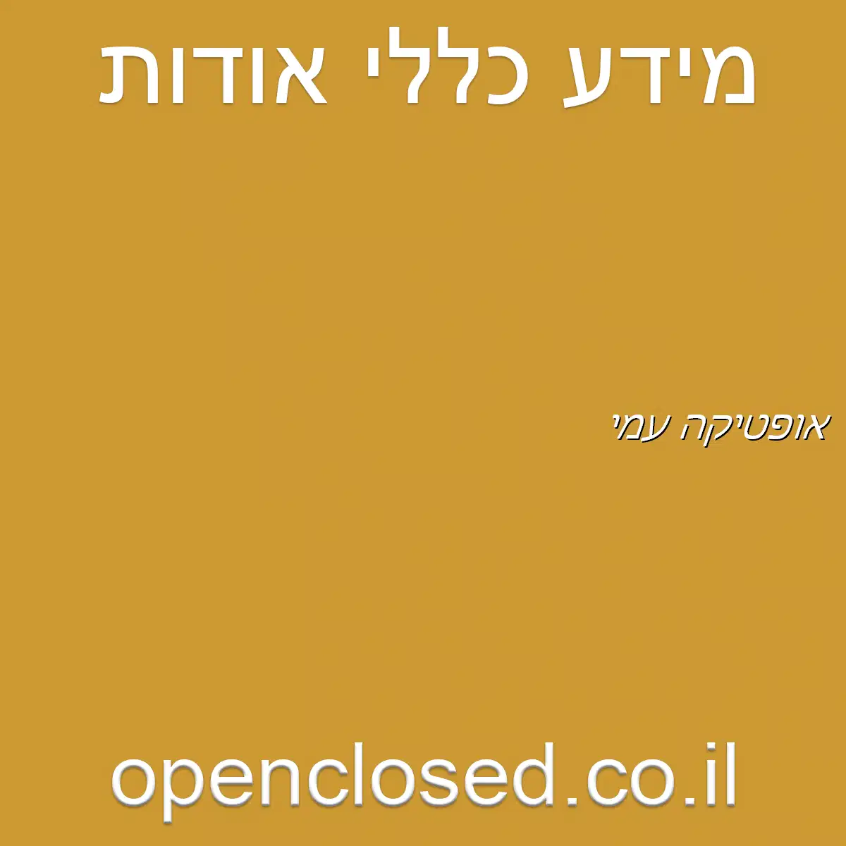 אופטיקה עמי