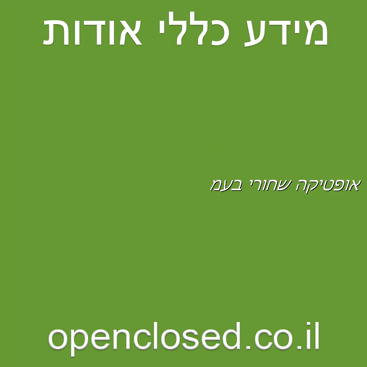 אופטיקה שחורי בע”מ