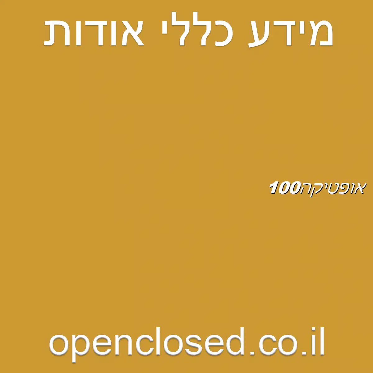 אופטיקה 100