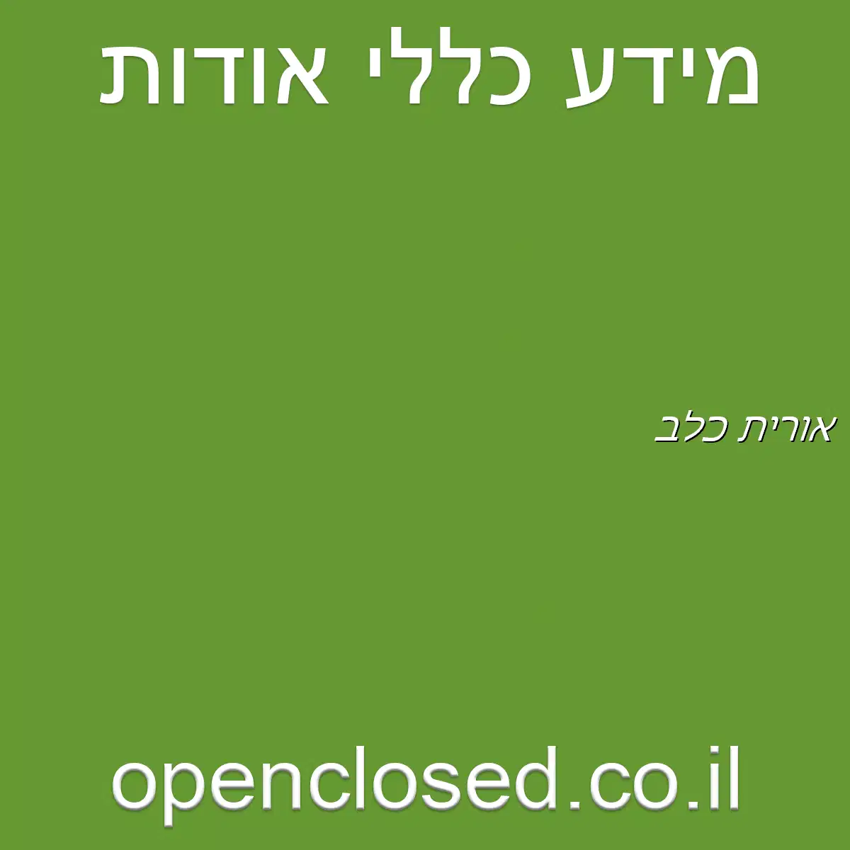 אורית כלב