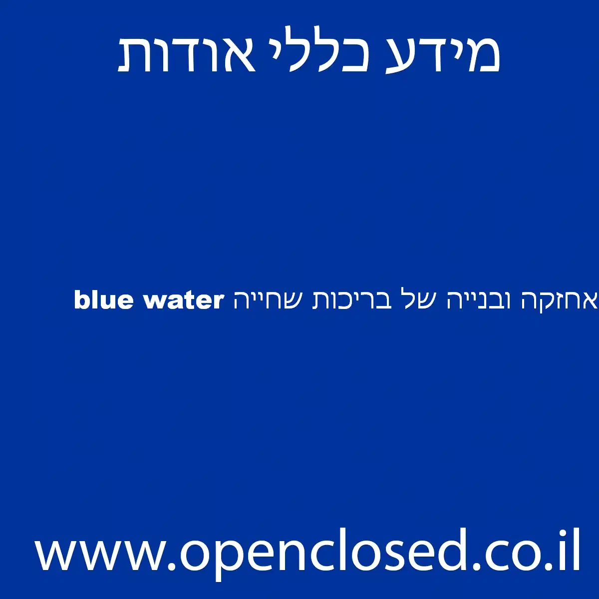 אחזקה ובנייה של בריכות שחייה blue water