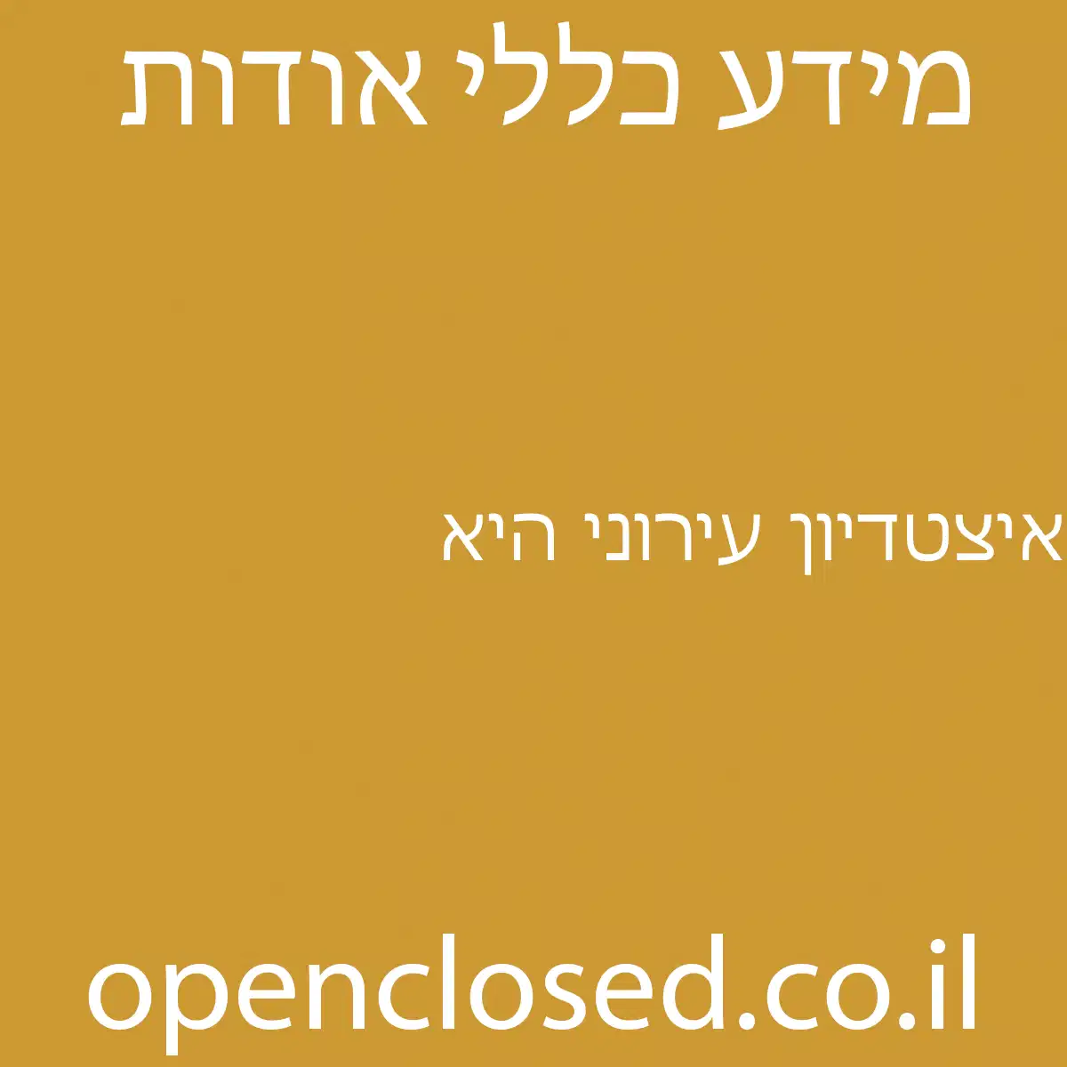 איצטדיון עירוני היא