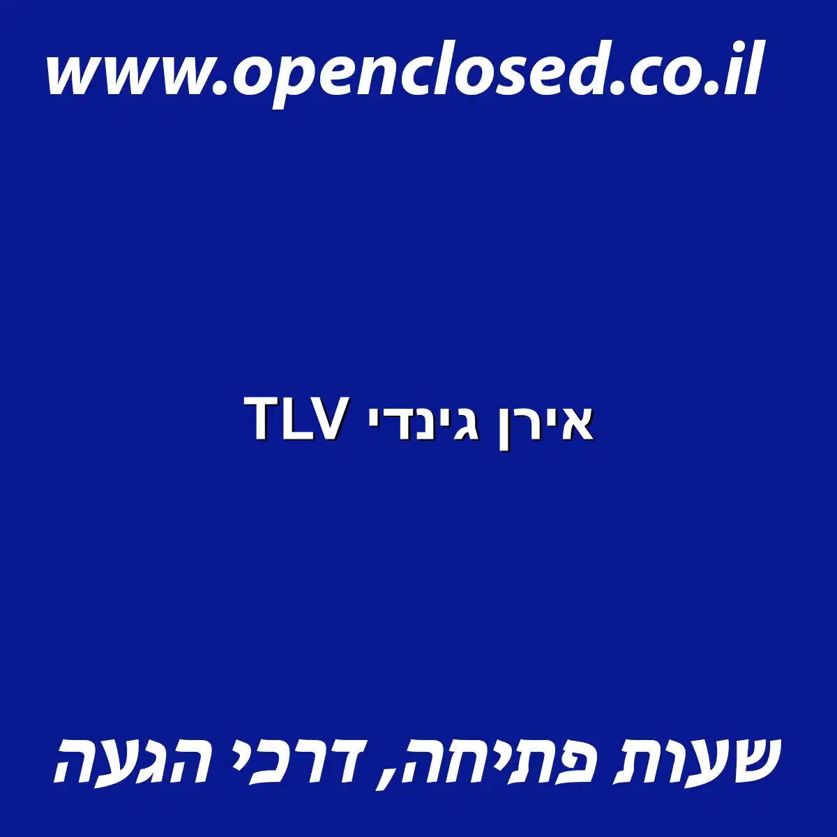 אירן גינדי TLV