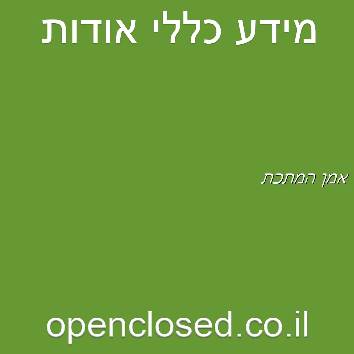 אמן המתכת