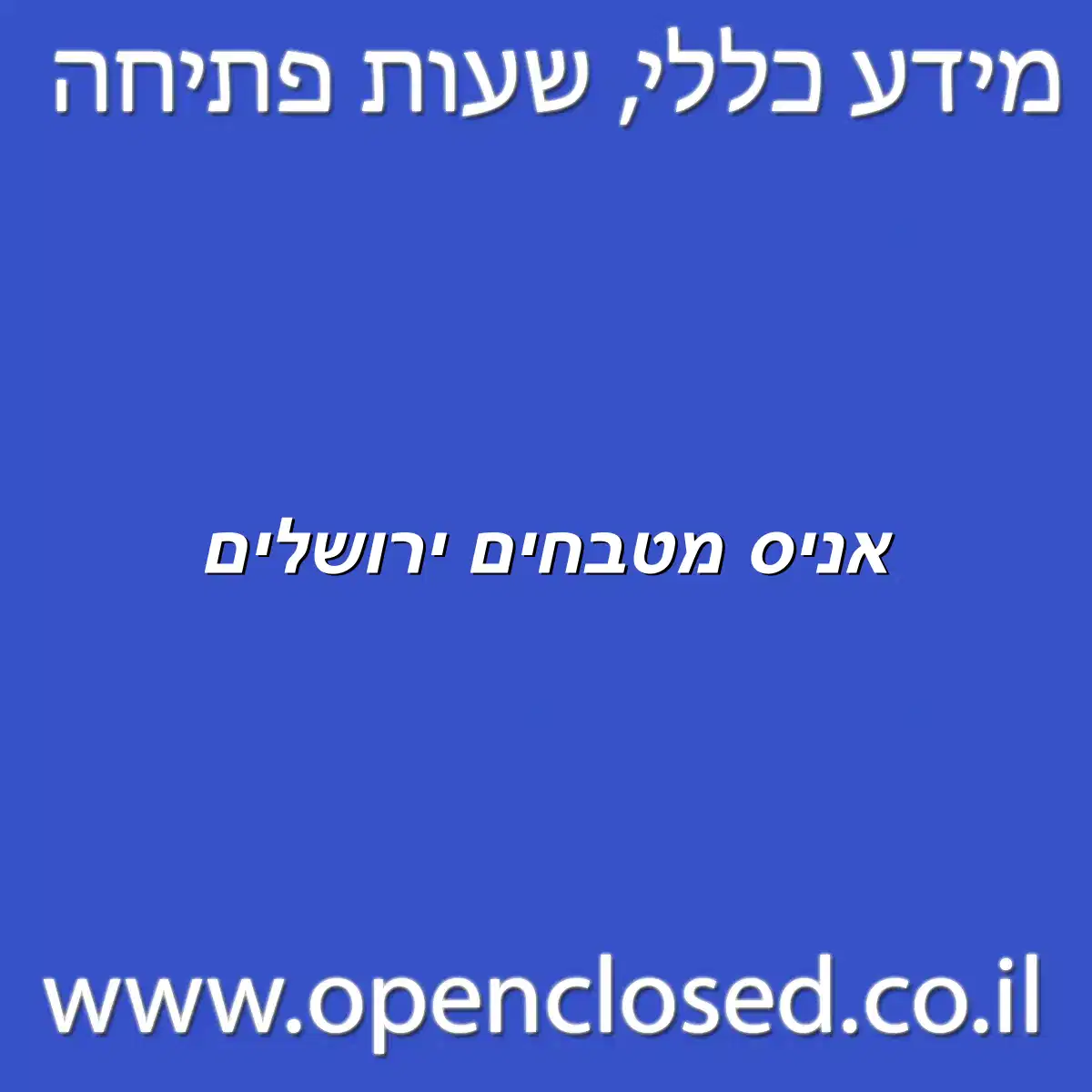 אניס מטבחים ירושלים