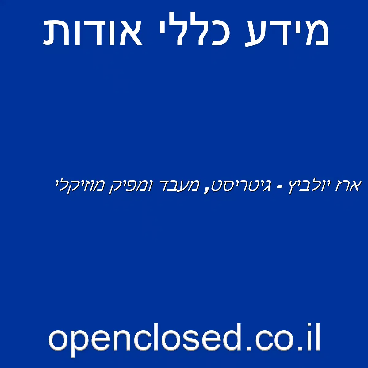 ארז יולביץ – גיטריסט, מעבד ומפיק מוזיקלי